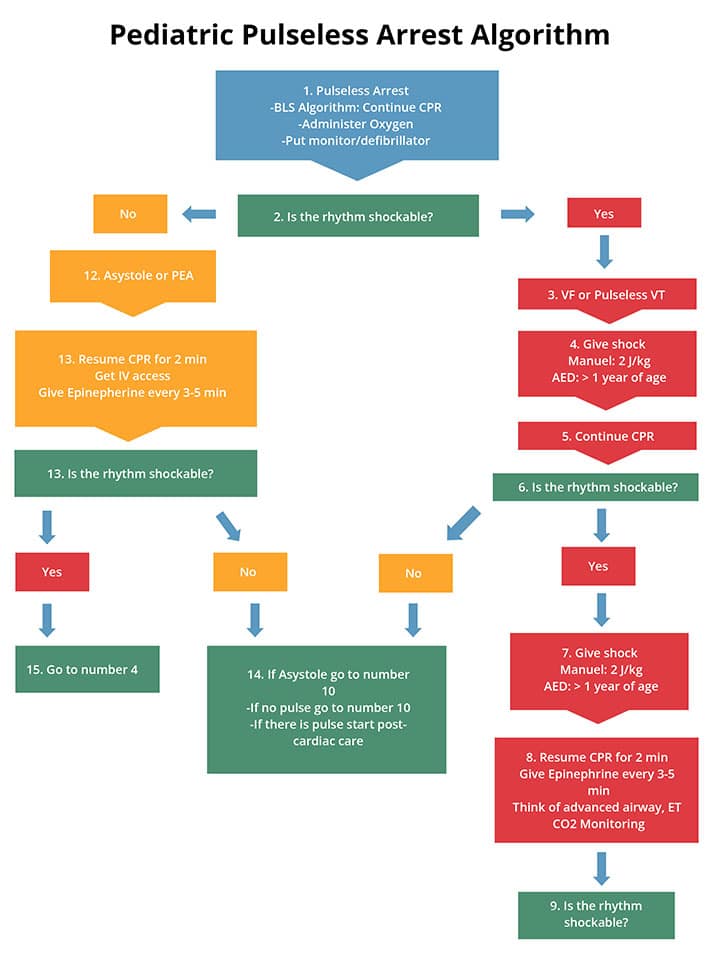 A guide on pediatric pulseless arrest algorithm