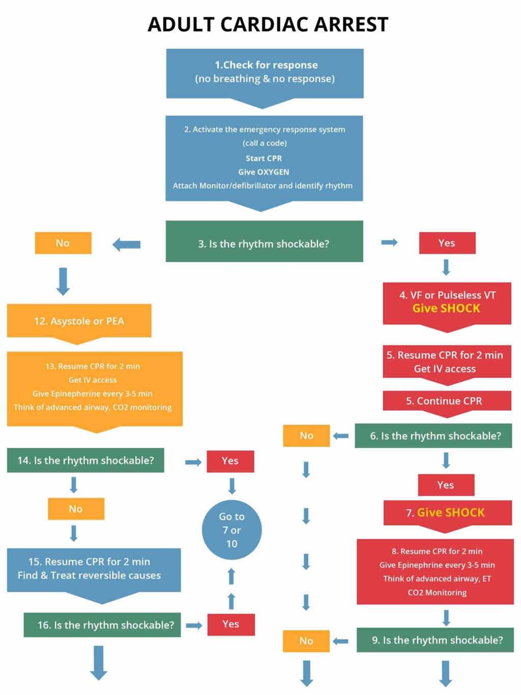 Steps for performing adult CPR accurately