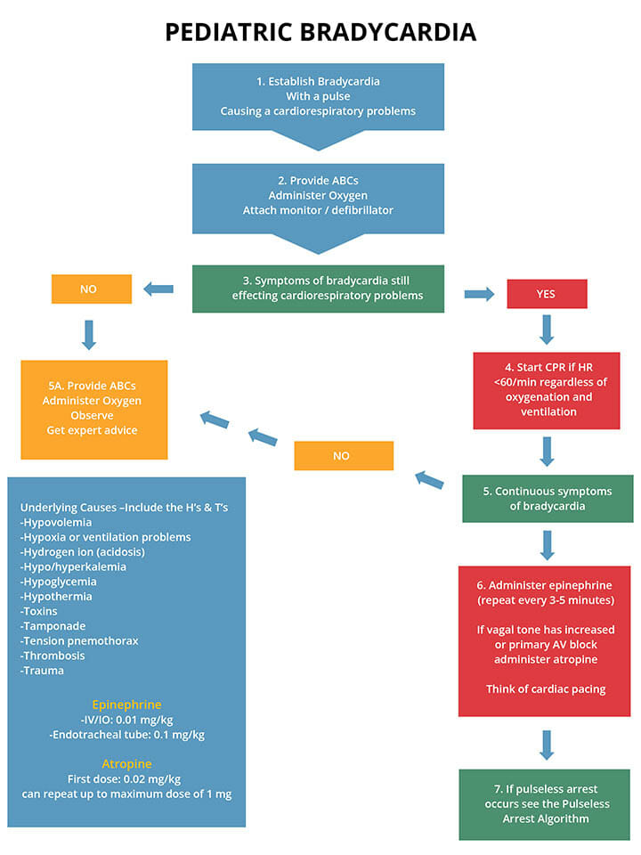 pediatric-bradycardia