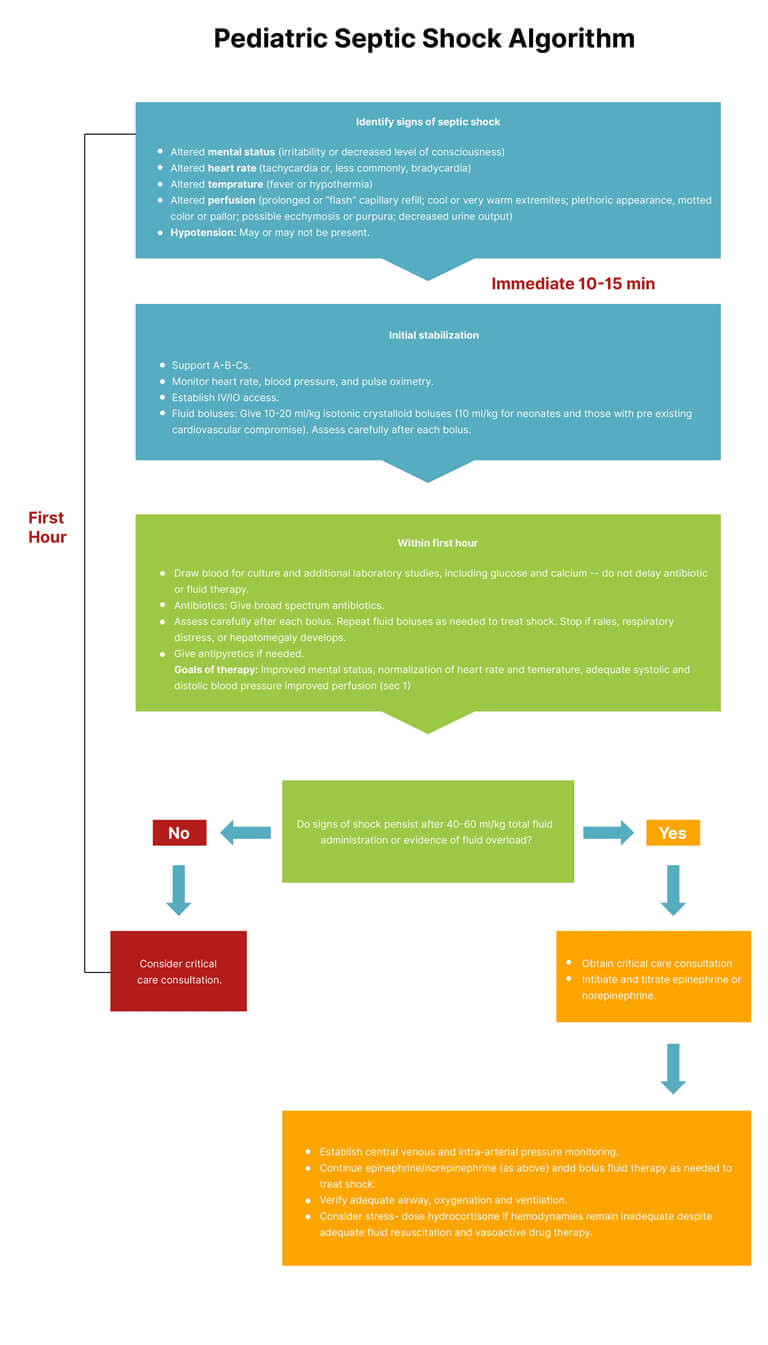 pals-septic-shock-algorithm-new-design-img