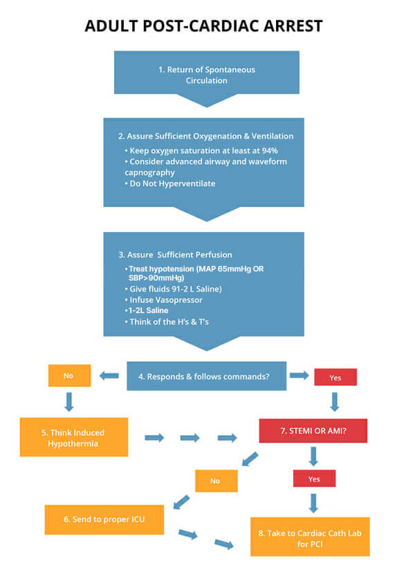 adult-post-cardiac-arrest-graphic