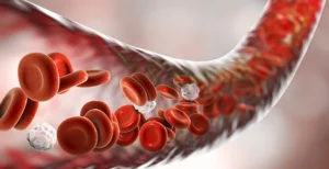 Hemostasis: Stages and How the Process Stops Blood Flow